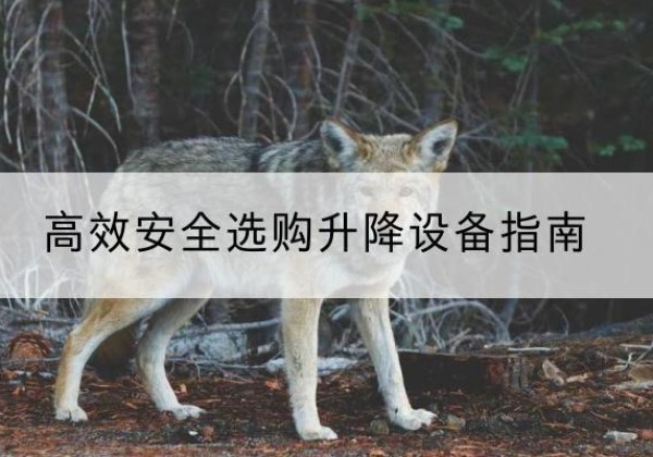 当雄升降货梯厂家推荐-*安全选购升降设备指南