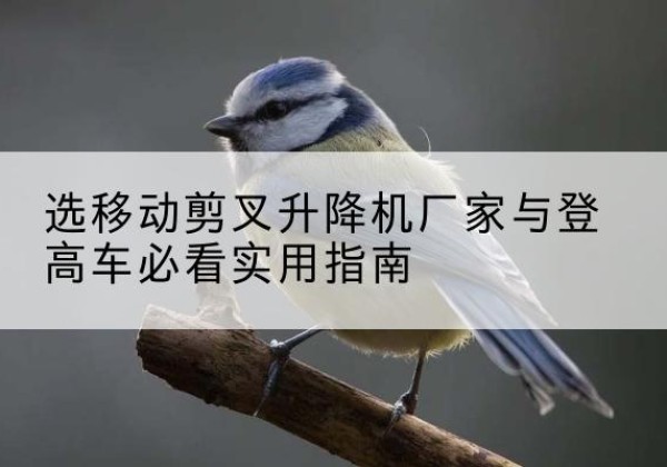 当雄电动升降机厂家-选移动剪叉升降机厂家与登高车必看实用指南