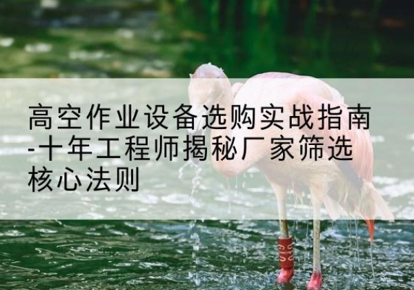 当雄剪叉式升降机厂家-高空作业设备选购实战指南-十年工程师揭秘厂家筛选核心法则